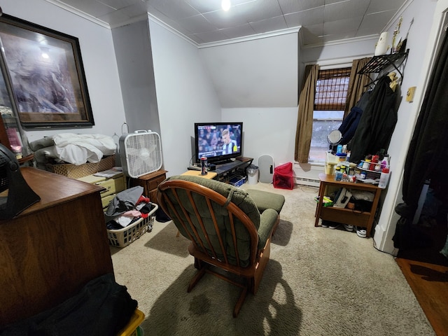 living room featuring lofted ceiling, carpet floors, crown molding, and a baseboard radiator