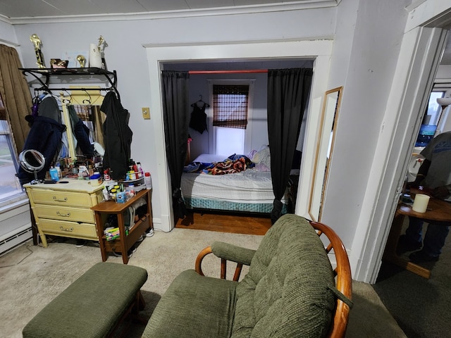 bedroom with carpet flooring