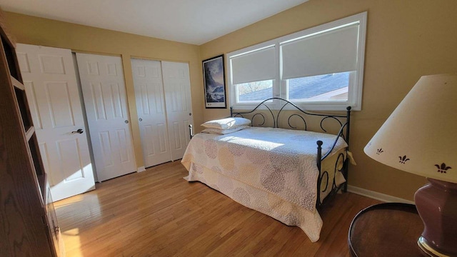 bedroom featuring wood-type flooring and two closets