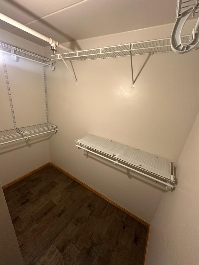 spacious closet with dark wood-type flooring