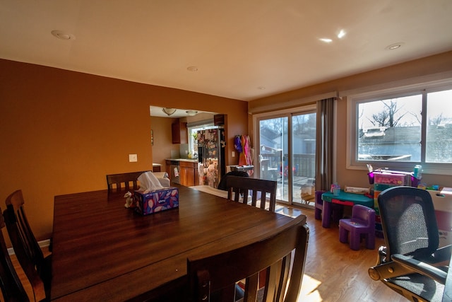 dining area with light hardwood / wood-style flooring