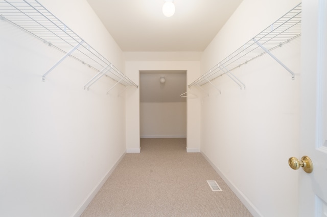 spacious closet with light carpet