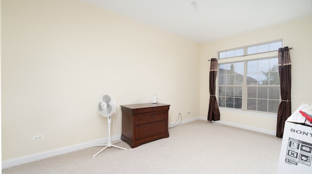 miscellaneous room with light colored carpet