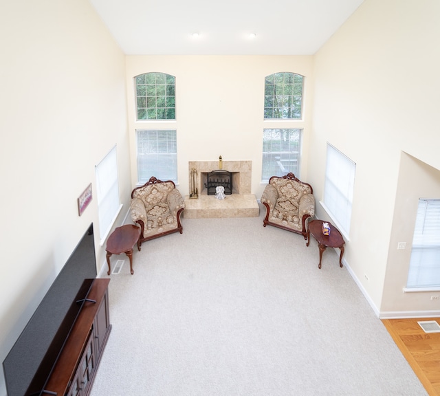 living area with a wealth of natural light, a fireplace, and light wood-type flooring