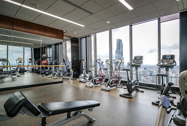 workout area featuring a healthy amount of sunlight, floor to ceiling windows, and a drop ceiling