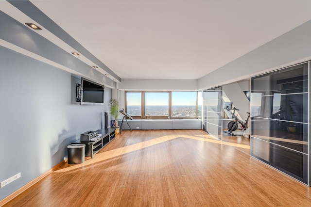 exercise room featuring light wood-type flooring