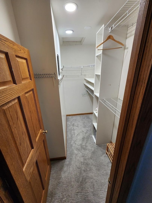 walk in closet featuring dark colored carpet