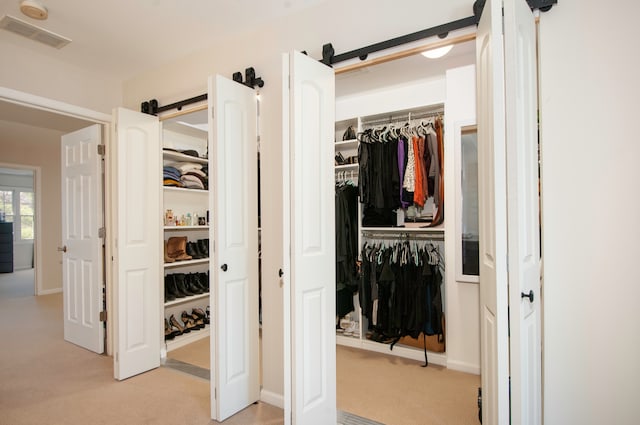 view of closet