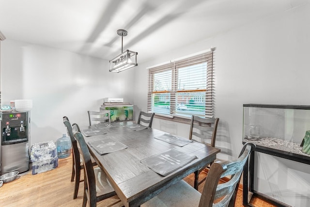 dining room featuring light hardwood / wood-style flooring