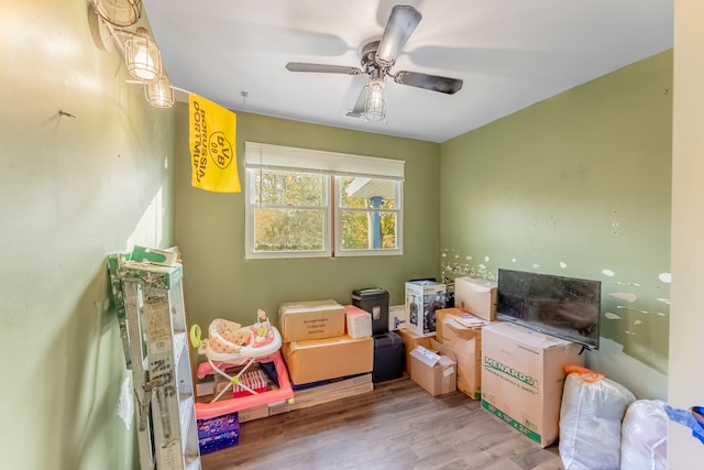 storage room featuring ceiling fan