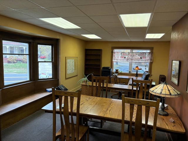 dining area featuring a drop ceiling and carpet floors