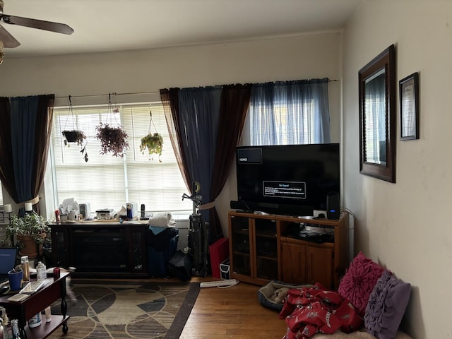 interior space with hardwood / wood-style flooring, plenty of natural light, and ceiling fan