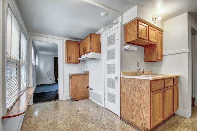 kitchen with sink