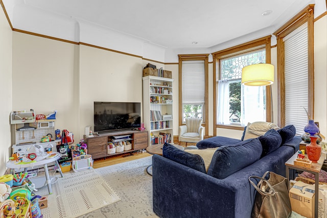 living room featuring hardwood / wood-style floors