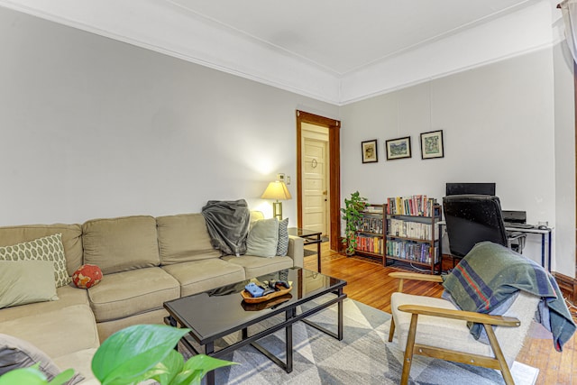 living room featuring light hardwood / wood-style flooring