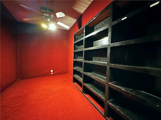 storage room with ceiling fan