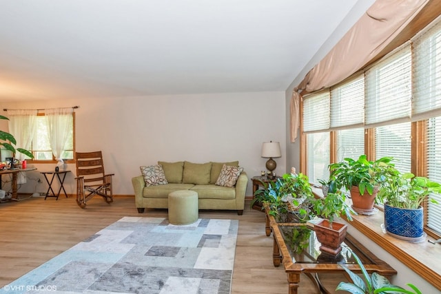 living room featuring light hardwood / wood-style floors