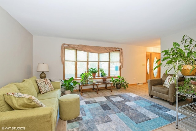 living room featuring wood-type flooring