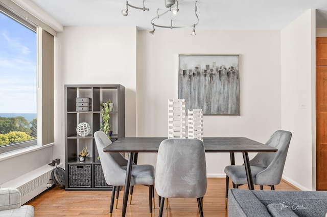 dining area featuring radiator heating unit, a healthy amount of sunlight, and light wood-type flooring