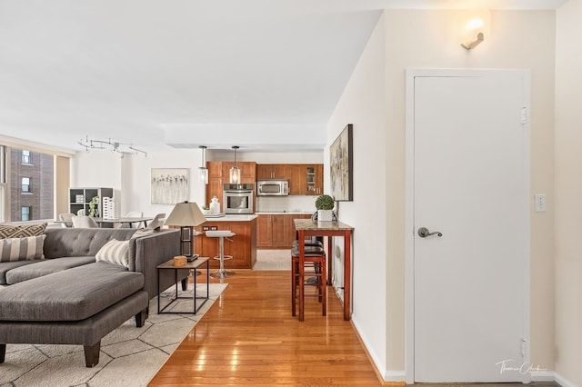 living room featuring light hardwood / wood-style flooring