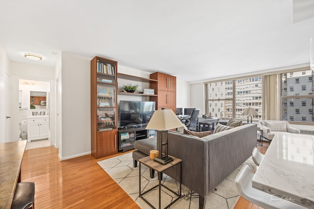 living room with light wood-type flooring and expansive windows