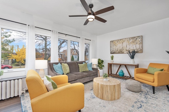 living room with wood-type flooring, radiator, and ceiling fan