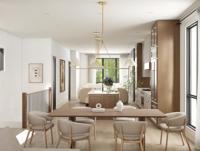 dining room with light hardwood / wood-style floors and a wealth of natural light