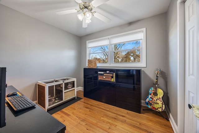 home office with hardwood / wood-style flooring and ceiling fan