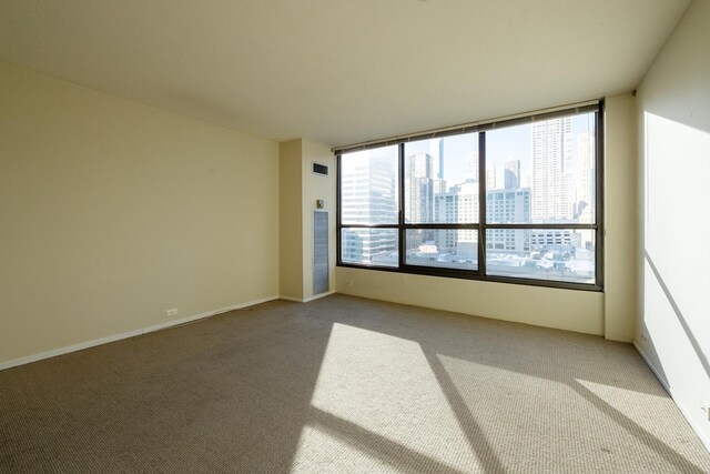 spare room featuring carpet and a healthy amount of sunlight