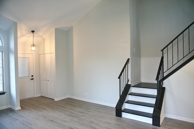 foyer entrance with wood-type flooring