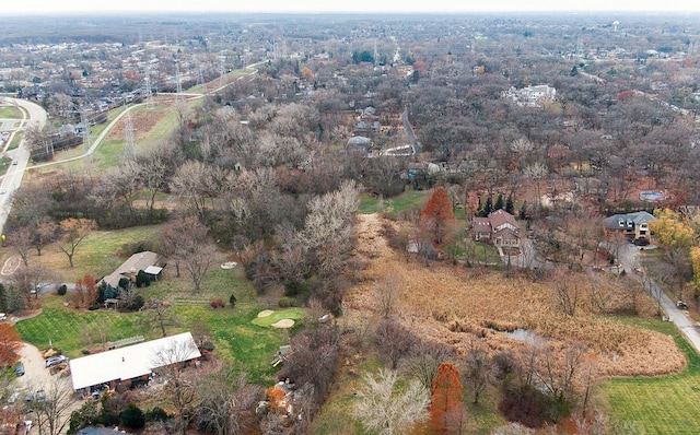 bird's eye view