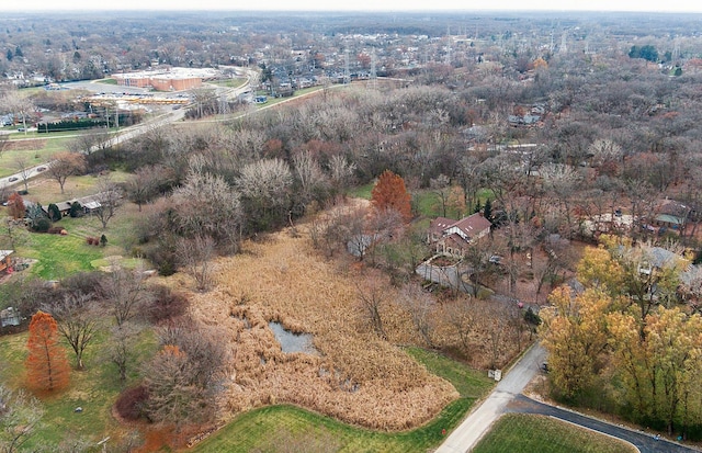 drone / aerial view