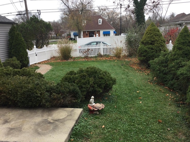 view of yard featuring a patio area