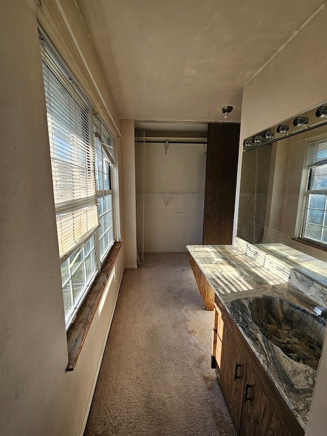 bathroom with a wealth of natural light