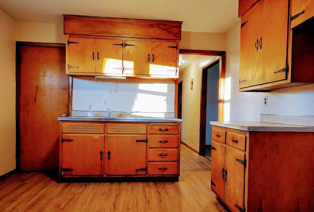 kitchen featuring light wood-type flooring