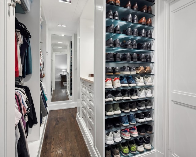 walk in closet featuring dark wood-type flooring