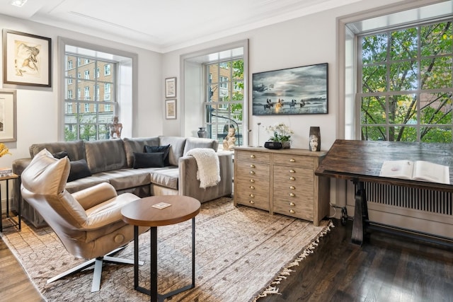 living area with crown molding and wood-type flooring