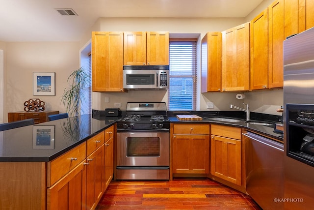 kitchen featuring dark wood-type flooring, stainless steel appliances, and sink