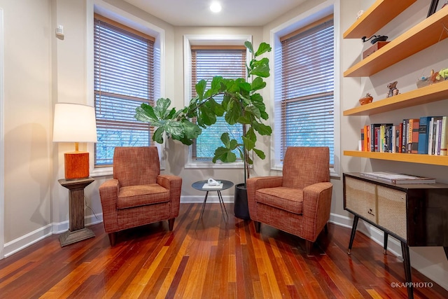 living area featuring a wealth of natural light and dark wood-type flooring