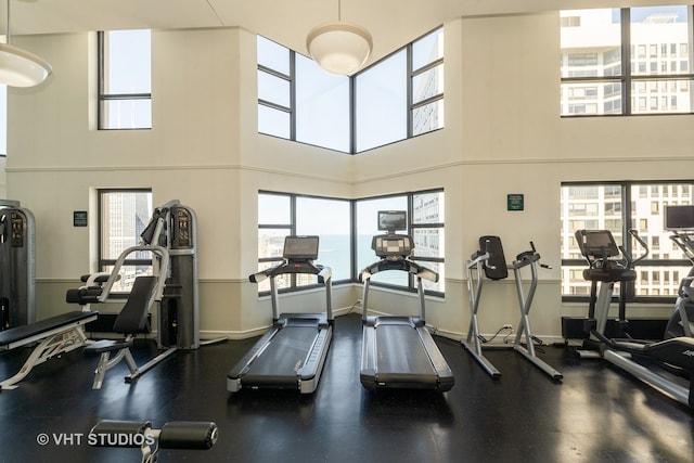 gym featuring a healthy amount of sunlight and a high ceiling