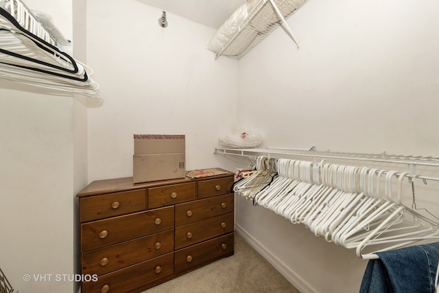 spacious closet with light carpet