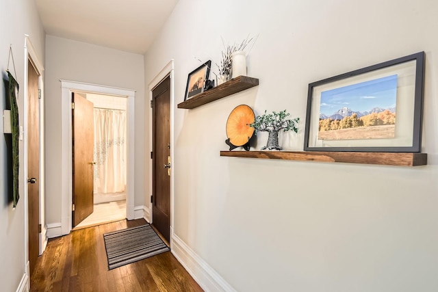 hall featuring dark hardwood / wood-style flooring