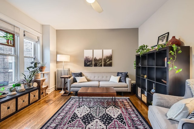 living room featuring ceiling fan, radiator heating unit, and hardwood / wood-style floors