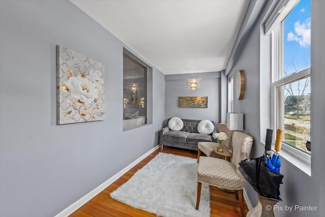 living room featuring hardwood / wood-style floors