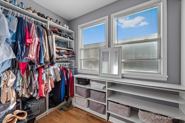 walk in closet with hardwood / wood-style floors