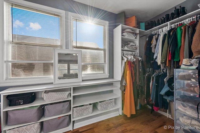 walk in closet featuring hardwood / wood-style flooring