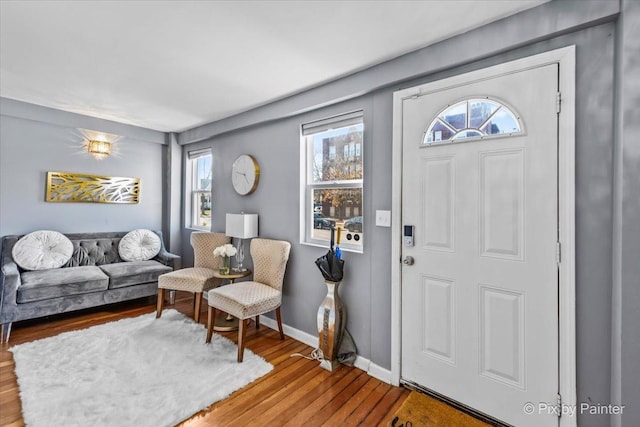 entryway featuring a healthy amount of sunlight and wood-type flooring