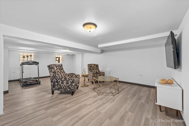 living area with light hardwood / wood-style flooring