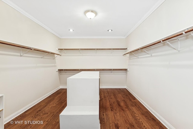 walk in closet featuring dark wood-type flooring