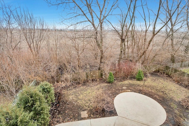 view of yard featuring a patio